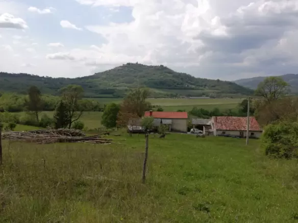 Land In Motovun, Croatia (5.575 M²)