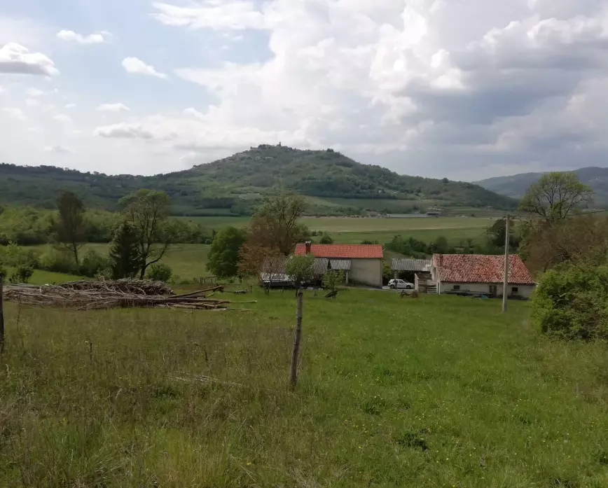 Land In Motovun, Croatia (5.575 M²)