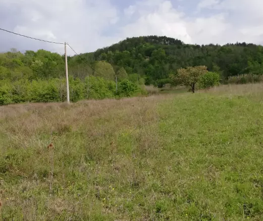 Land In Motovun, Croatia (5.575 M²)