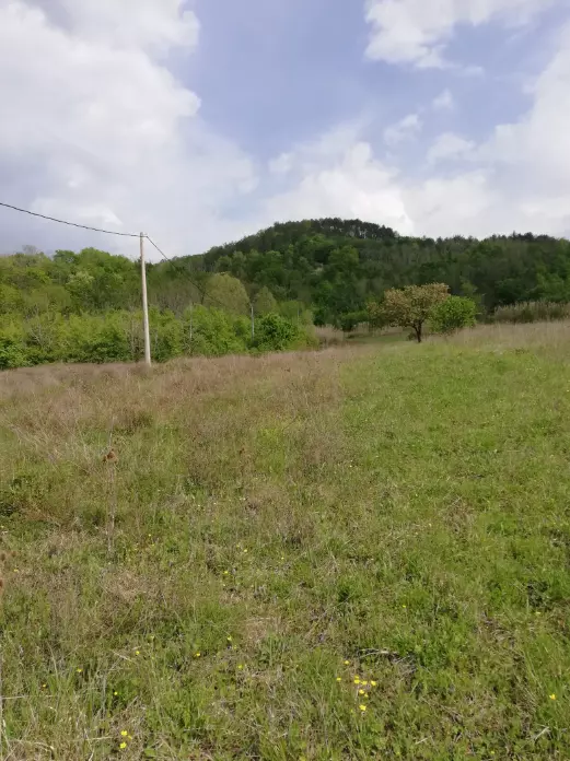 Land In Motovun, Croatia (5.575 M²)