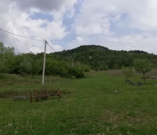 Land In Motovun, Croatia (5.575 M²)