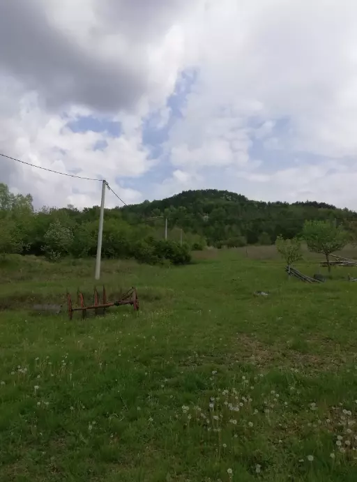 Land In Motovun, Croatia (5.575 M²)