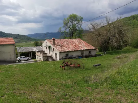 Land In Motovun, Croatia (5.575 M²)