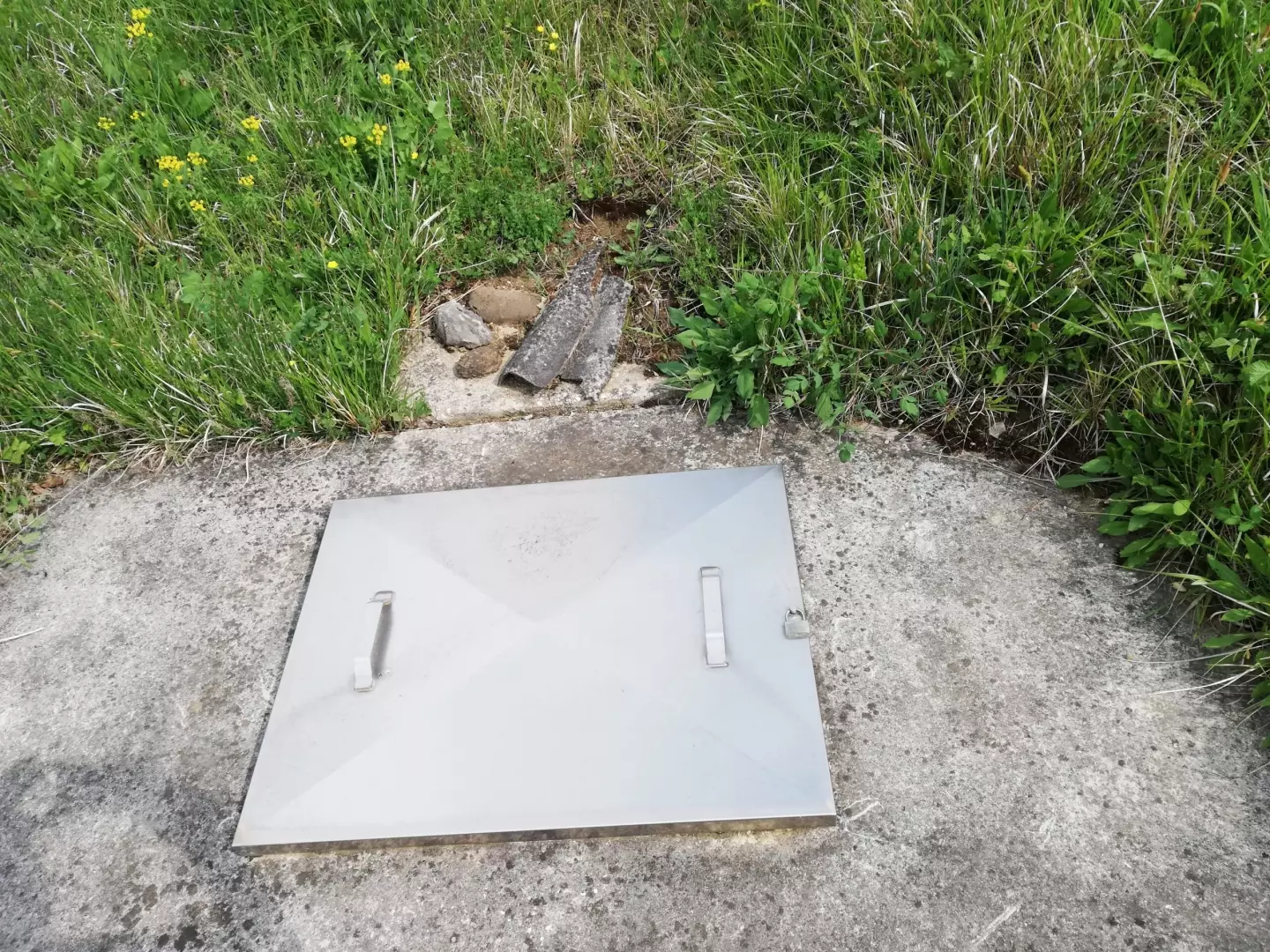 Land In Motovun, Croatia (5.575 M²)