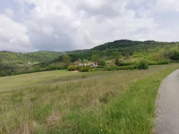 Land In Motovun, Croatia (5.575 M²)