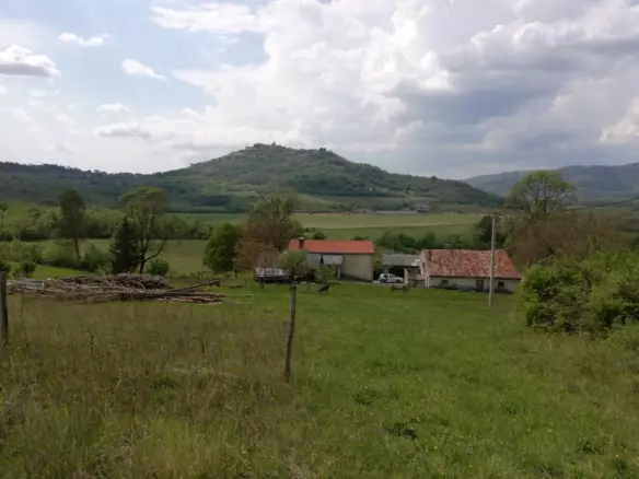 Land In Motovun, Croatia (5.575 M²)