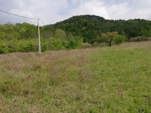 Land In Motovun, Croatia (5.575 M²)