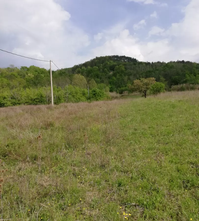 Land In Motovun, Croatia (5.575 M²)