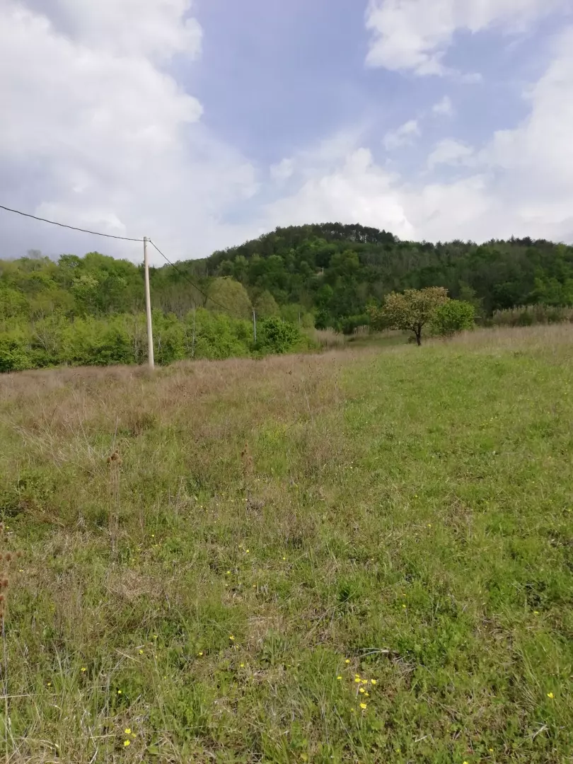 Land In Motovun, Croatia (5.575 M²)