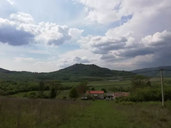 Land In Motovun, Croatia (5.575 M²)