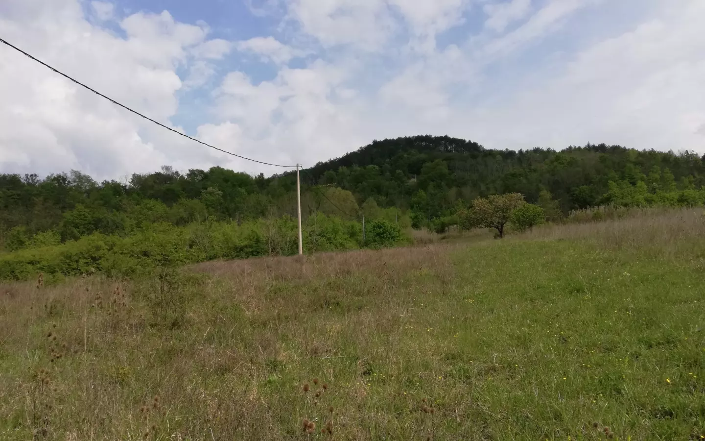 Land In Motovun, Croatia (5.575 M²)