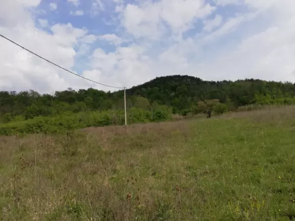 Land In Motovun, Croatia (5.575 M²)