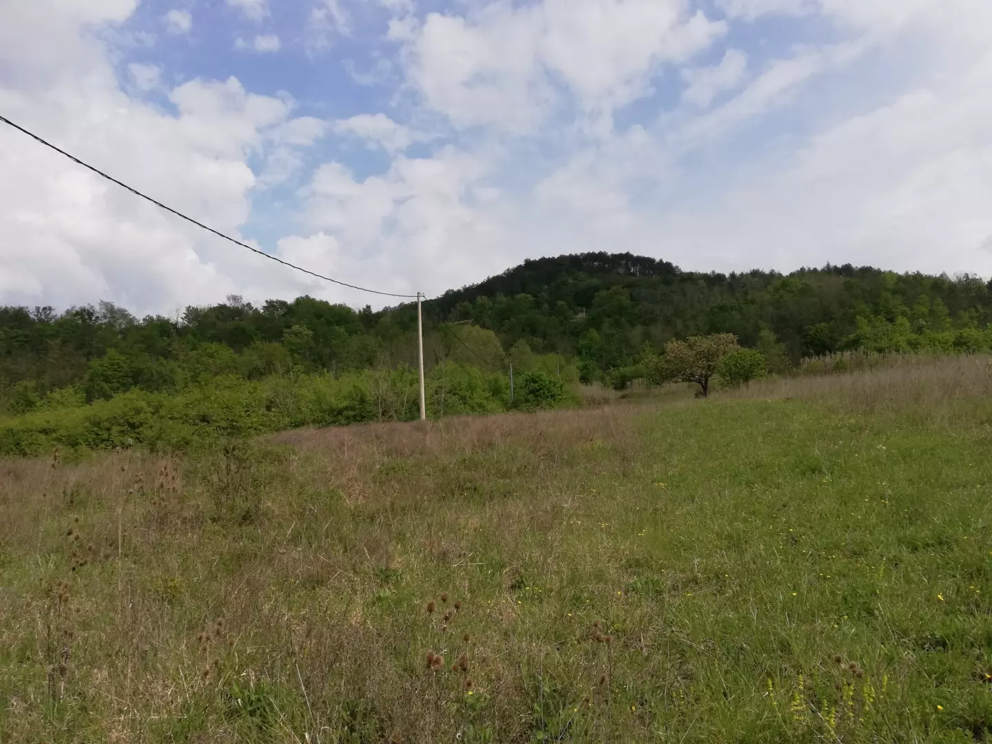 Land In Motovun, Croatia (5.575 M²)