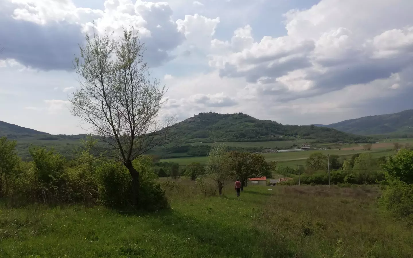 Land In Motovun, Croatia (5.575 M²)