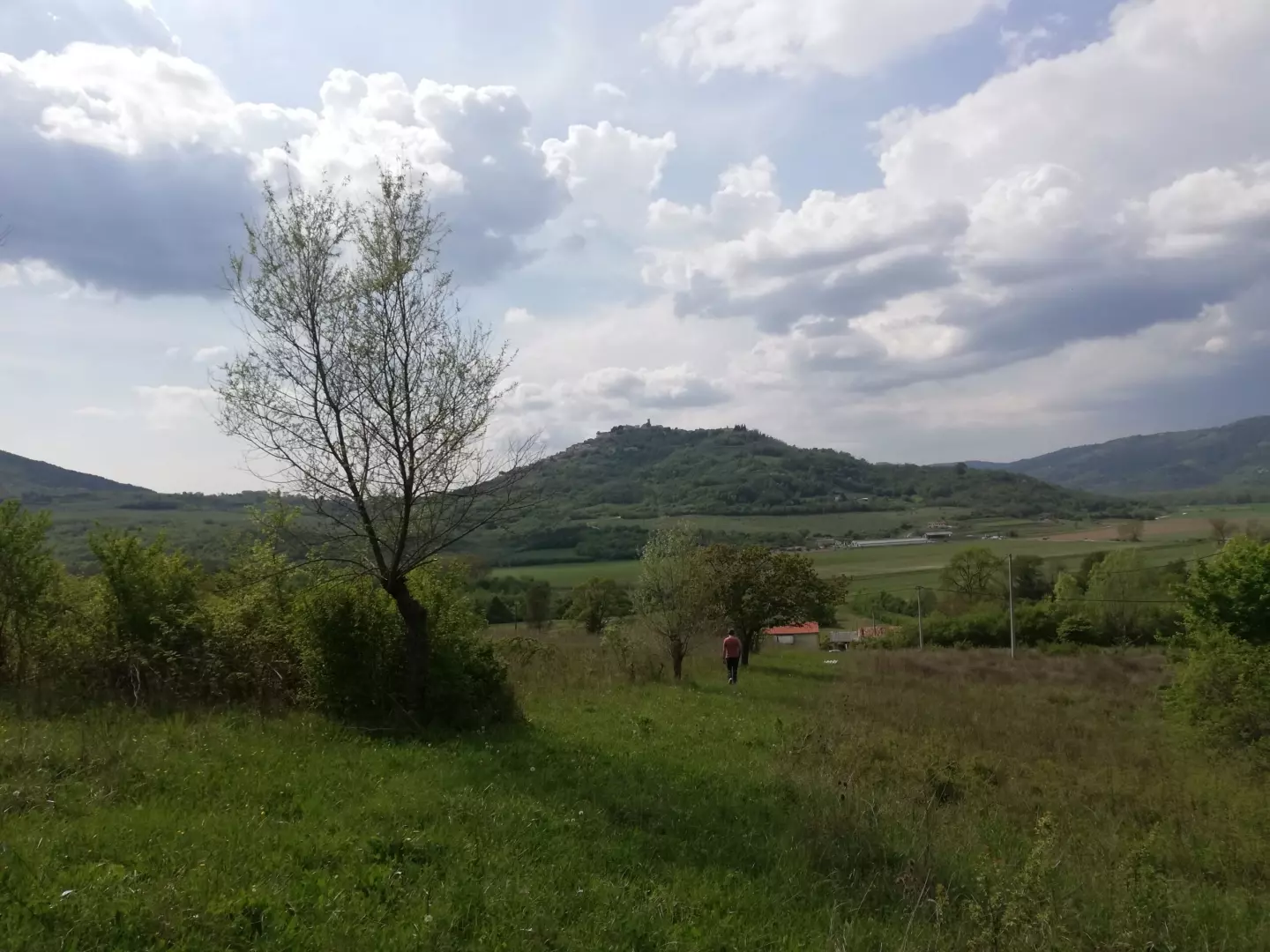 Land In Motovun, Croatia (5.575 M²)