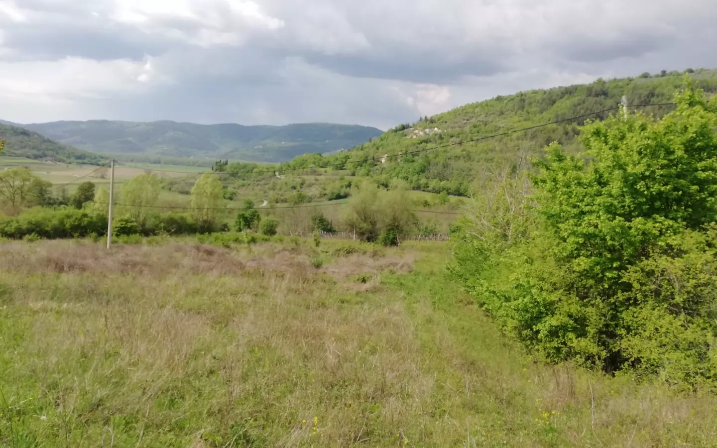 Land In Motovun, Croatia (5.575 M²)