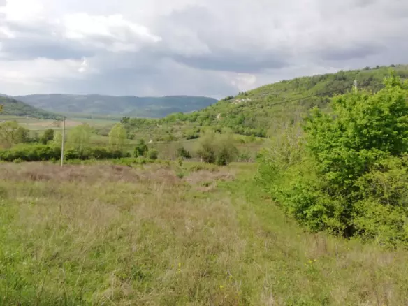 Land In Motovun, Croatia (5.575 M²)