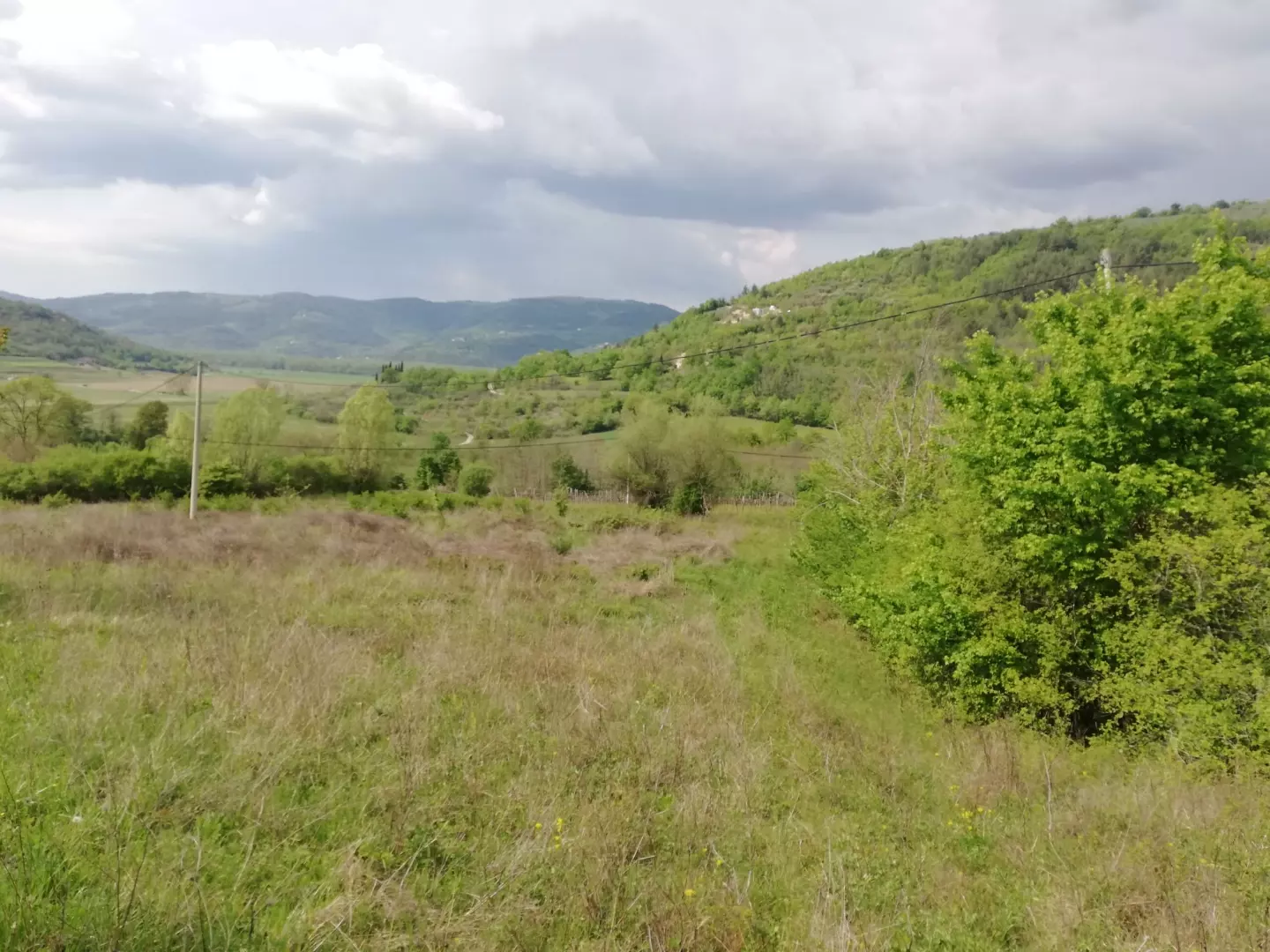 Land In Motovun, Croatia (5.575 M²)