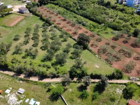Land In Turanj, Croatia (3.000 M²)