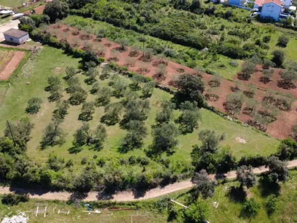 Land In Turanj, Croatia (3.000 M²)