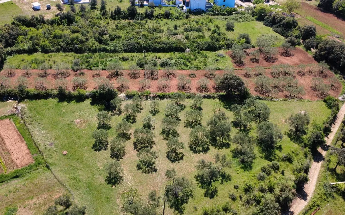 Land In Turanj, Croatia (3.000 M²)