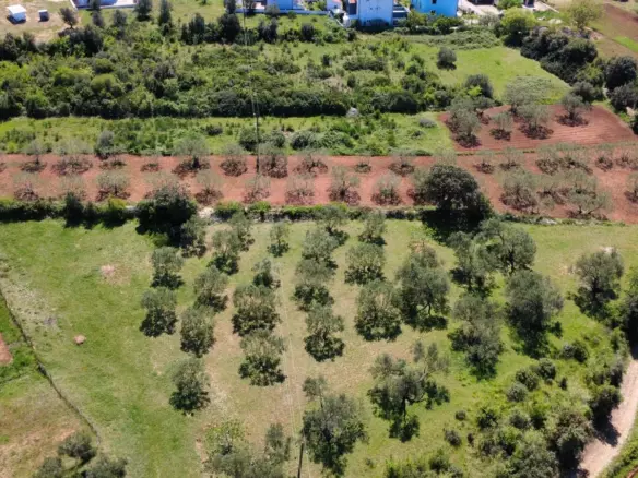 Land In Turanj, Croatia (3.000 M²)