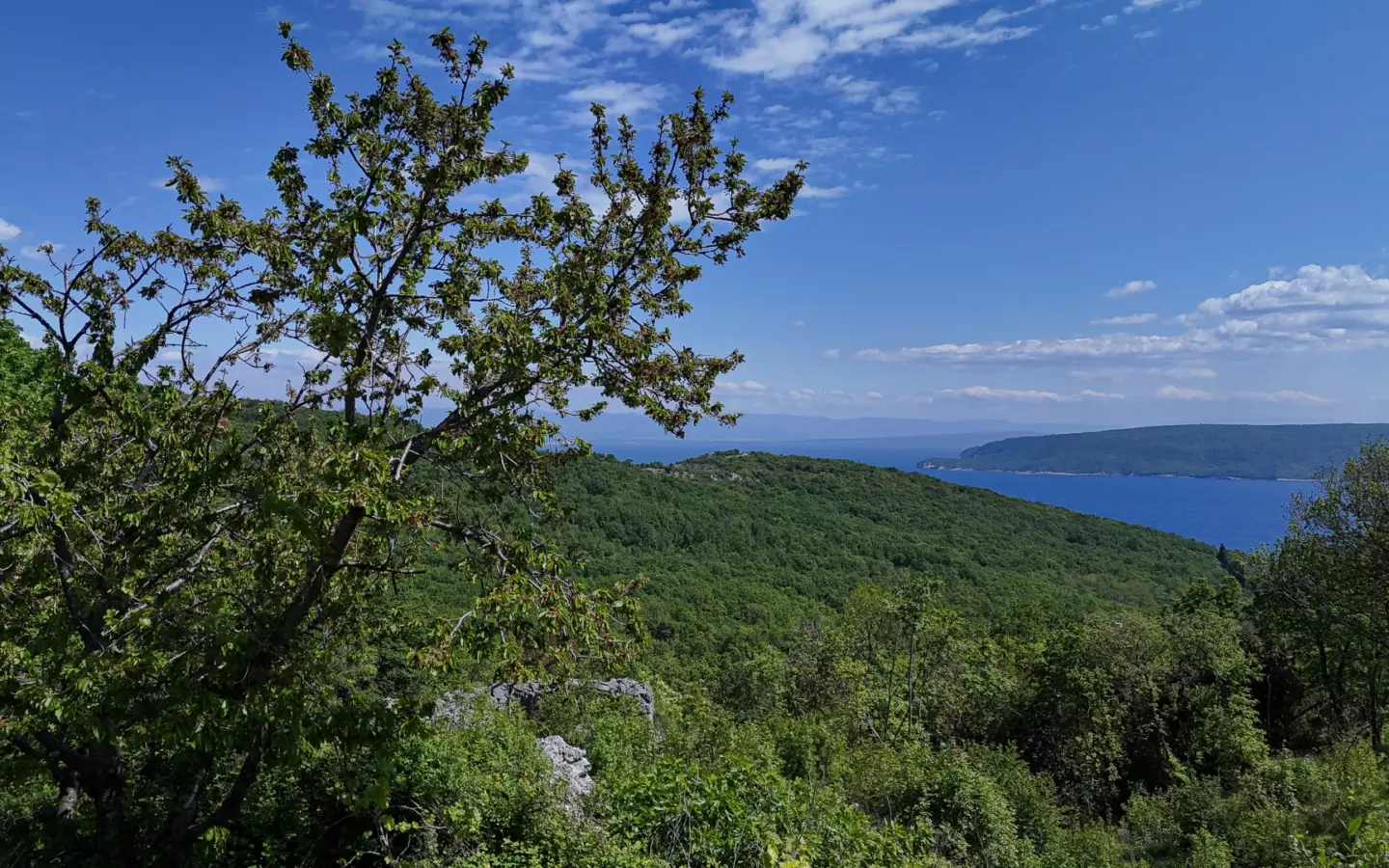 Land In Brseč, Croatia (1.173 M²)