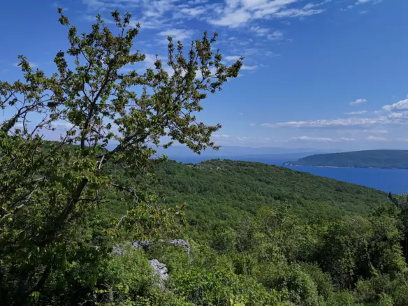 Land In Brseč, Croatia (1.173 M²)