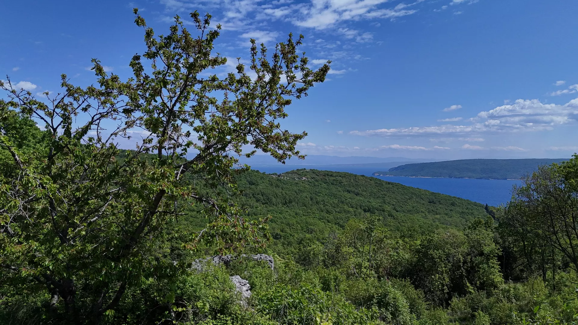 Land In Brseč, Croatia (1.173 M²)