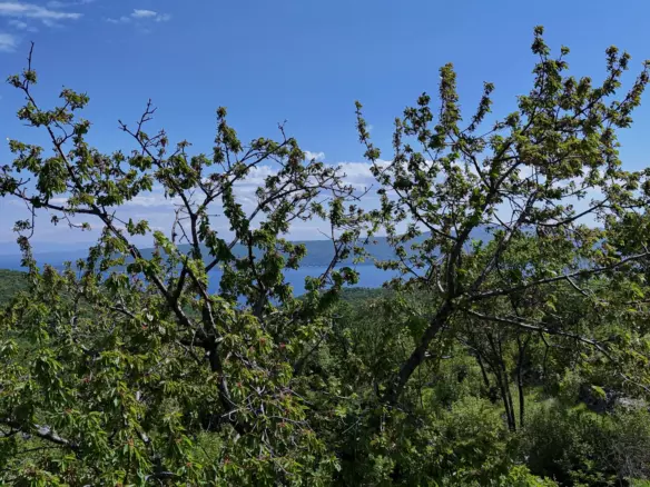 Land In Brseč, Croatia (1.173 M²)