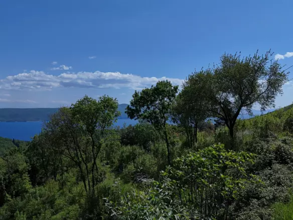 Land In Brseč, Croatia (1.173 M²)