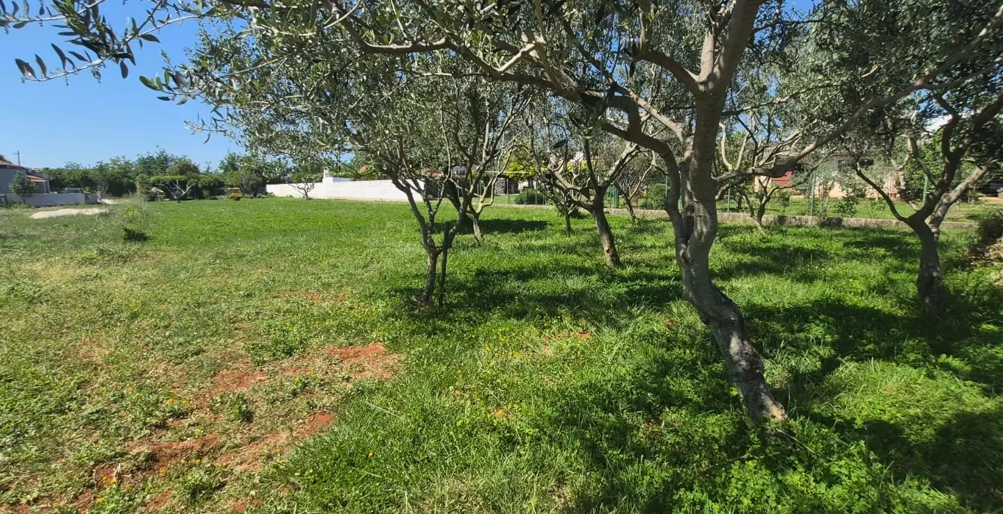 Land In Loborika, Croatia (1.305 M²)