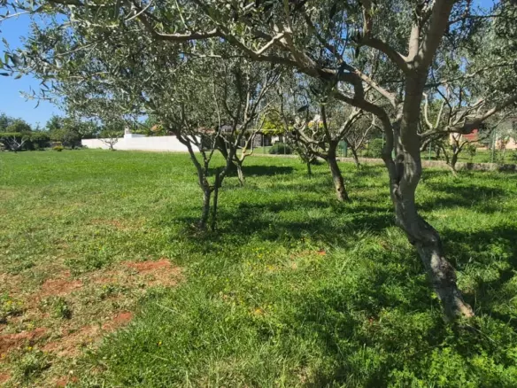Land In Loborika, Croatia (1.305 M²)