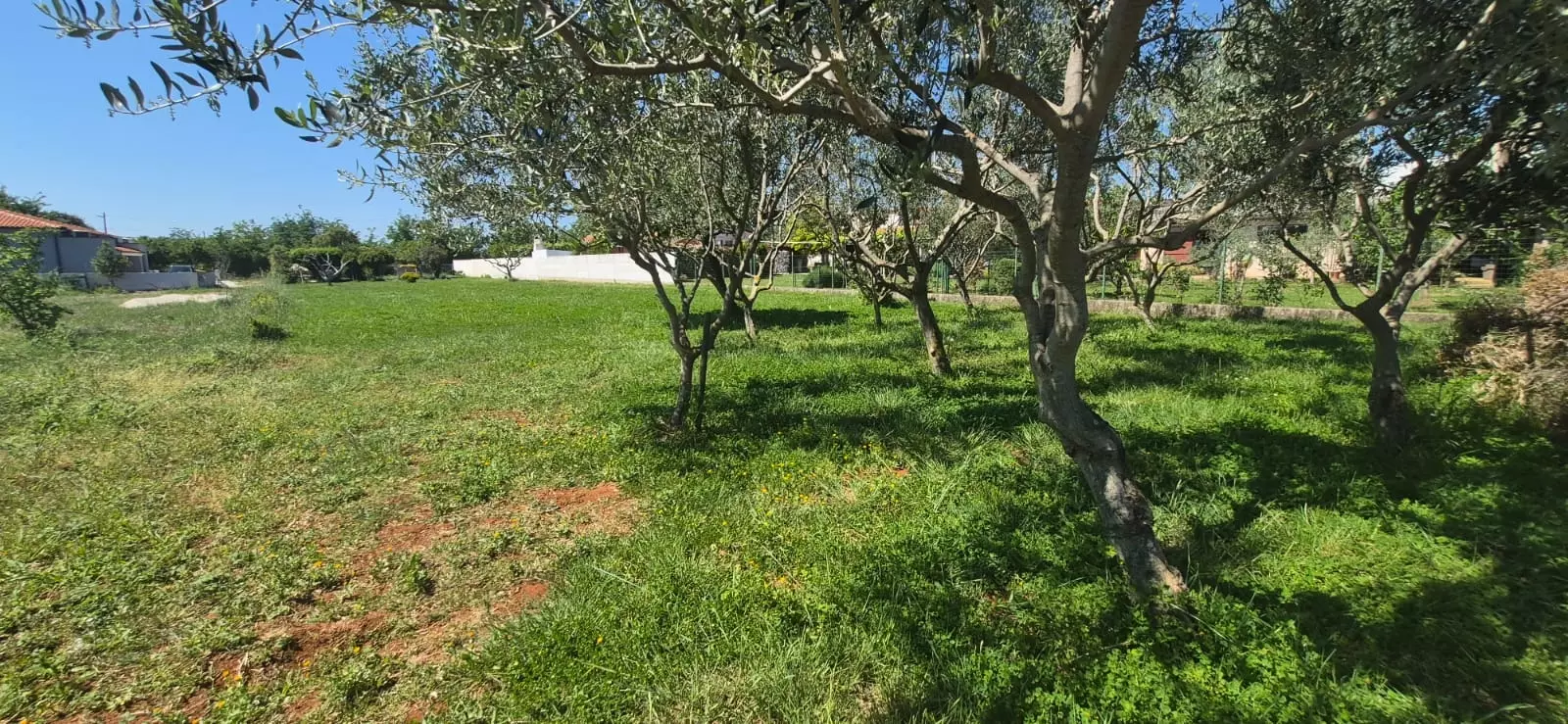 Land In Loborika, Croatia (1.305 M²)