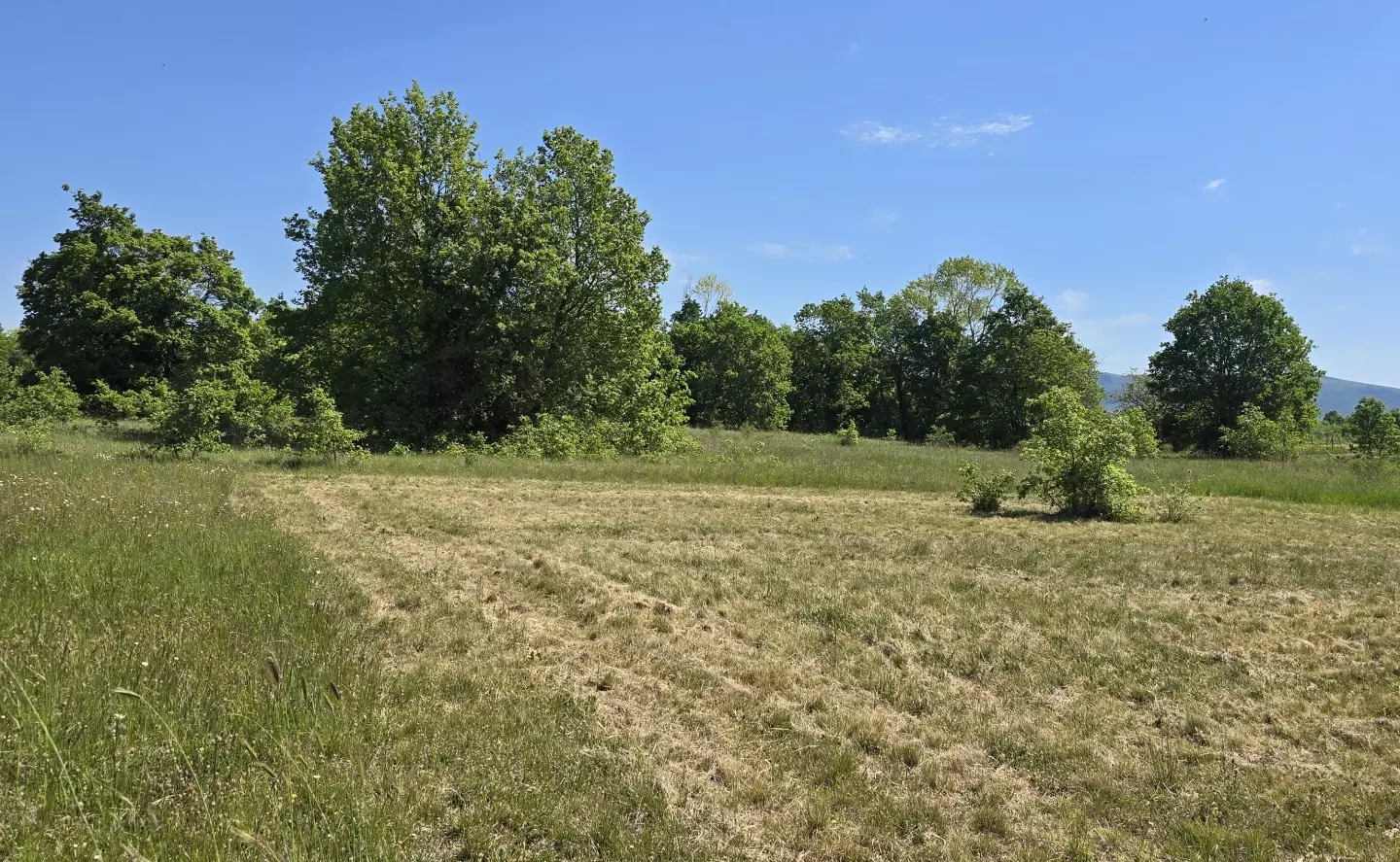 Land In Labin, Croatia (799 M²)