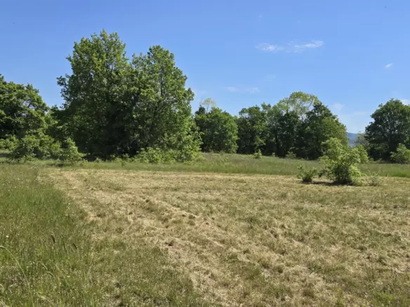Land In Labin, Croatia (799 M²)