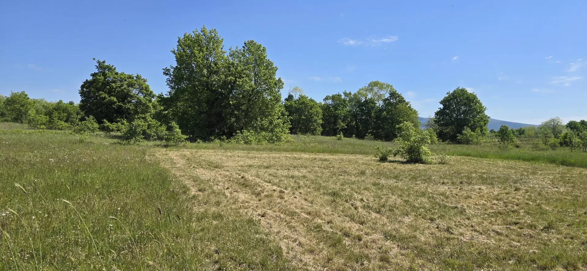 Land In Labin, Croatia (799 M²)