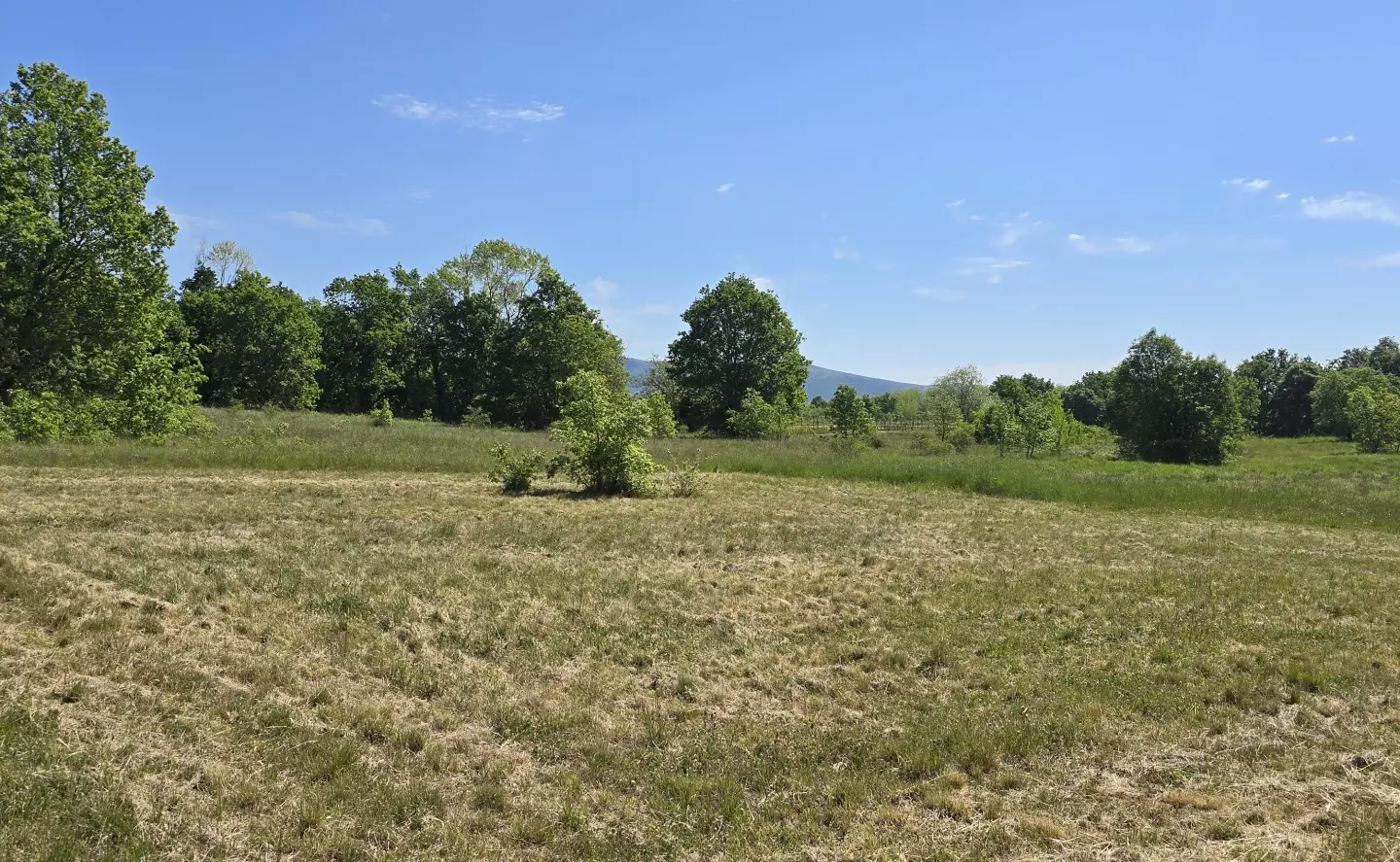 Land In Labin, Croatia (799 M²)