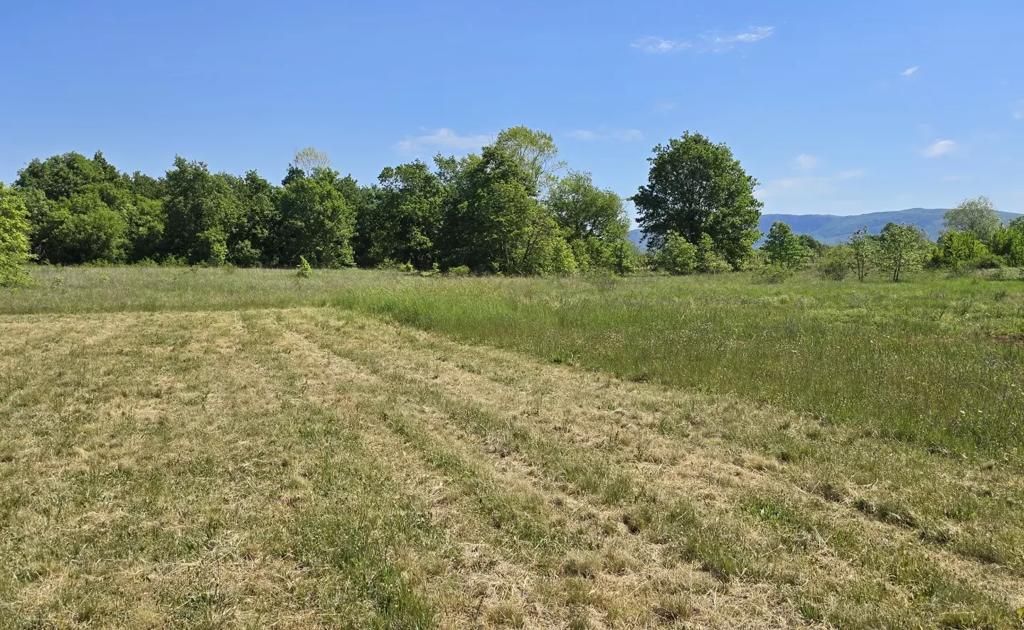 Land In Labin, Croatia (799 M²)