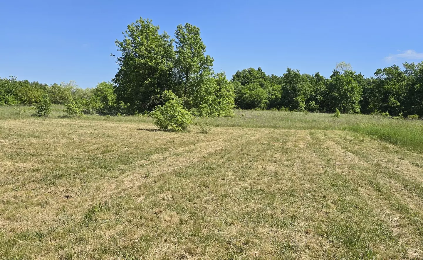 Land In Labin, Croatia (799 M²)