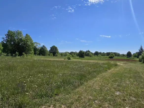 Land In Labin, Croatia (799 M²)