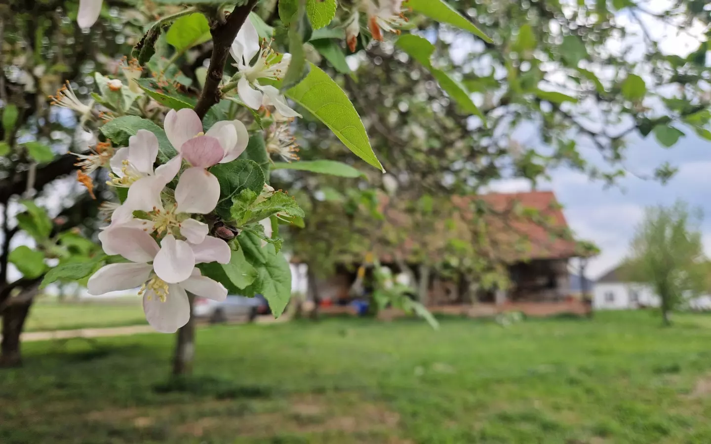 Detached House In Gradec, Croatia (803 M²)