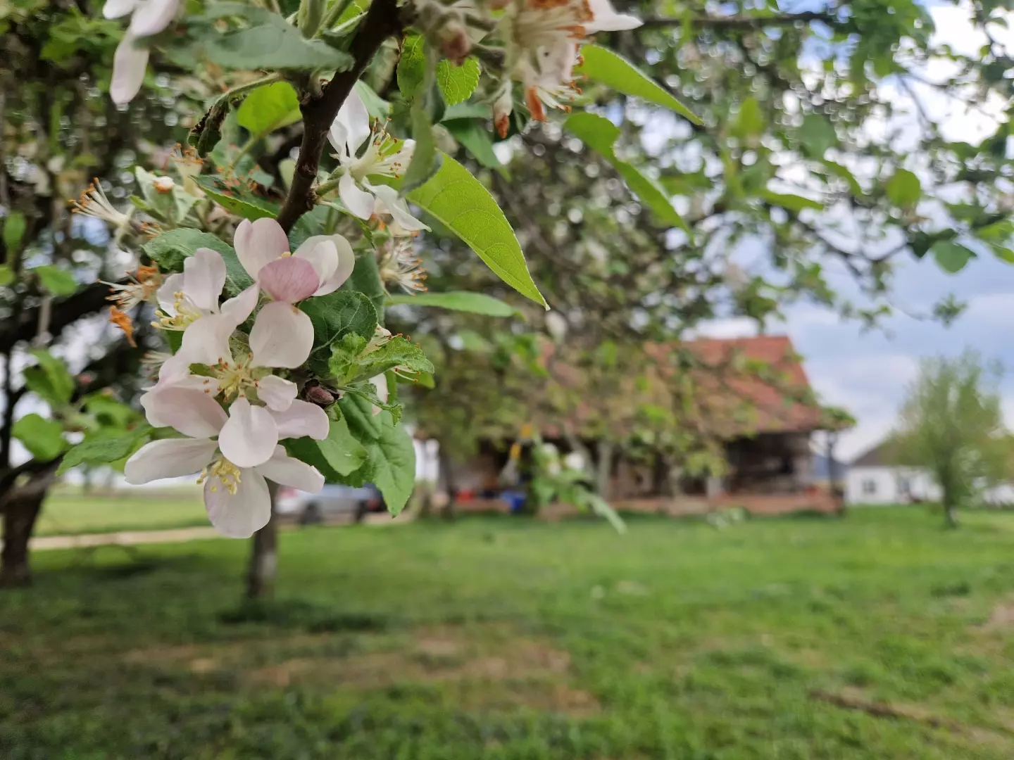Detached House In Gradec, Croatia (803 M²)