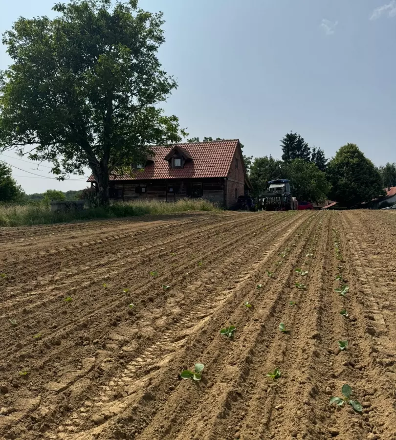 Detached House In Gradec, Croatia (803 M²)