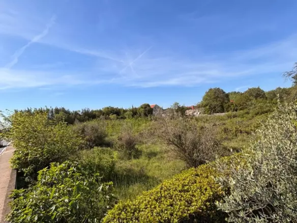 Land In Kožino, Croatia (1.500 M²)