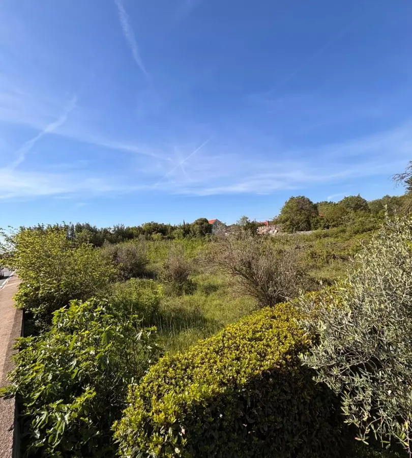 Land In Kožino, Croatia (1.500 M²)