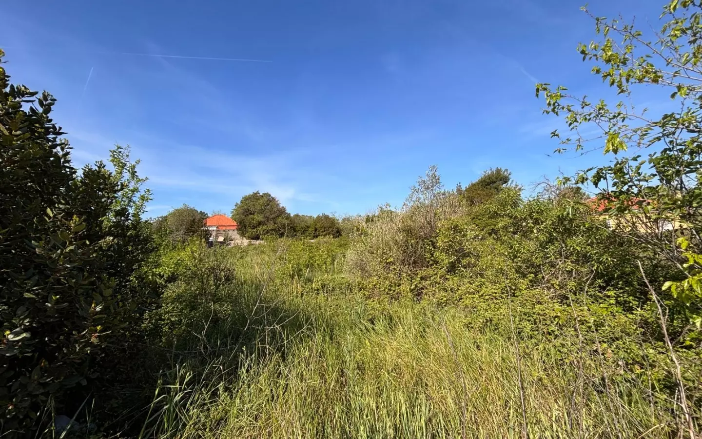 Land In Kožino, Croatia (1.500 M²)