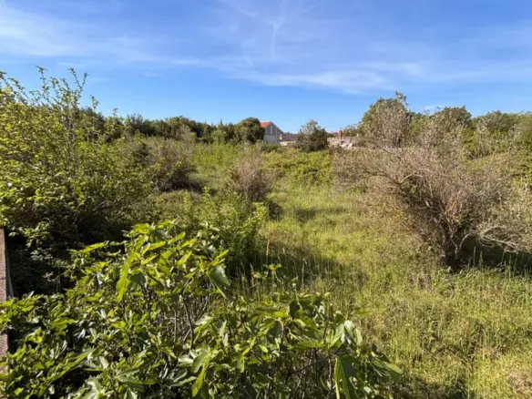 Land In Kožino, Croatia (1.500 M²)