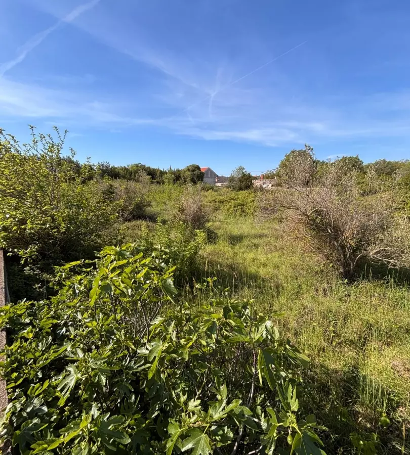 Land In Kožino, Croatia (1.500 M²)