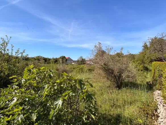 Land In Kožino, Croatia (1.500 M²)